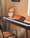 Donner DDP-80 Piano numérique domestique à 88 touches, beau style en bois avec trois pédales